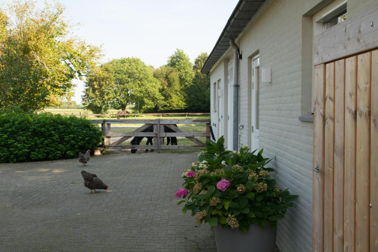 Het Rooversnest Riel Esterno foto